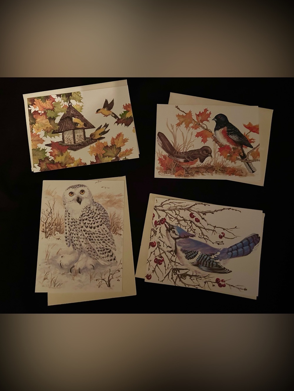 Bird Blank Notecards Lot of 4 John Cornacchio